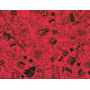 Coton Quilt 9204-284