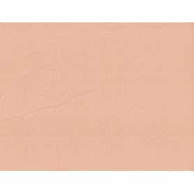 Jersey Organic Cotton Spandex 10.5-11 oz Pale Dogwood