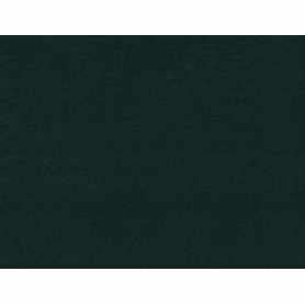 Organic Jogging Fleece 11-11.5 oz Pine Grove