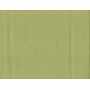 Plain Canvas Duck (10oz) 5719