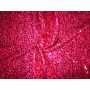 Taffeta Sequins 1629