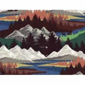 Flanelle Imprimé 9203-158