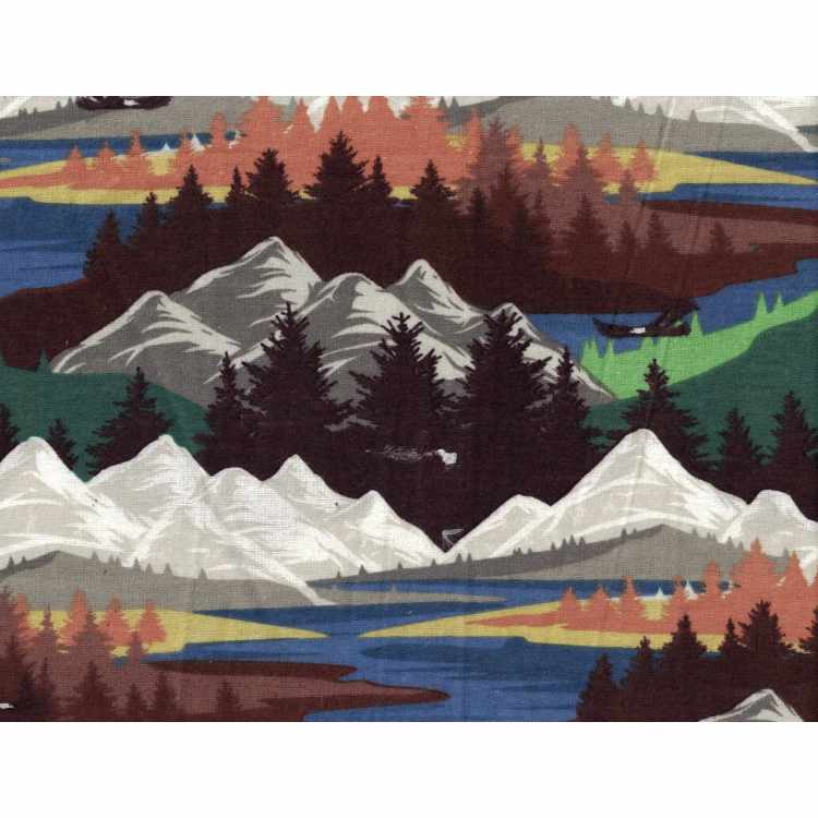 Flanelle Imprimé 9203-158