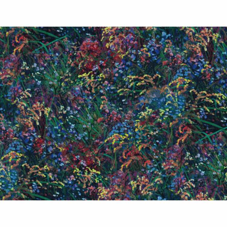 Coton Quilt 9204-351