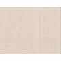 Plain Tea Towel  5031-02