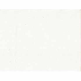 Canevas Uni 1538-2