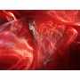 Organza 2 Tons 1644