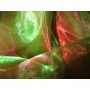 Organza 2 Tons 1644
