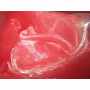 Organza 2 Tons 1644