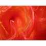 Organza 2 Tons 1644