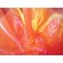Organza 2 Tons 1644