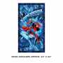 Superman Panel Blue