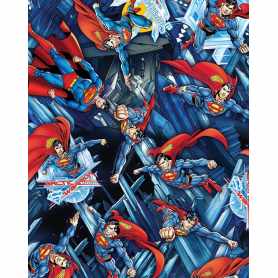 Le Légendaire Superman Marin-Royal