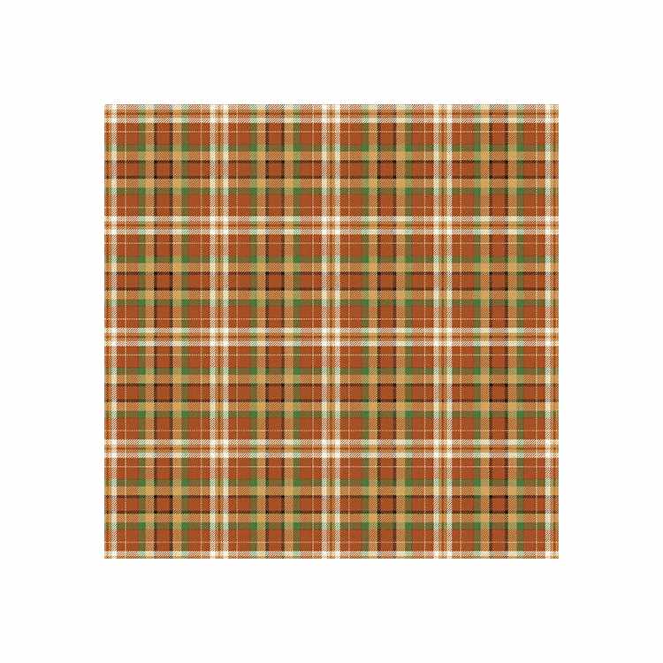 Touchdown Plaid 16842-39