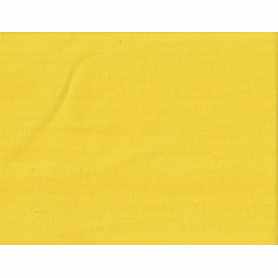 Plain Canvas Duck 10oz 1601-021 Yellow