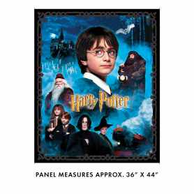 Harry Potter Panneau 15212-99