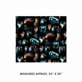 Moments de Harry Potter 15263-12
