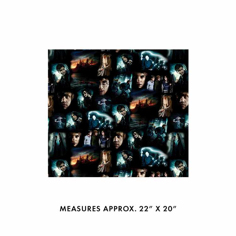 Harry Potter Moments 15263-12