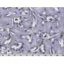 Coton Quilt 5011-5