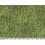 Printed Canvas BB 5203-33